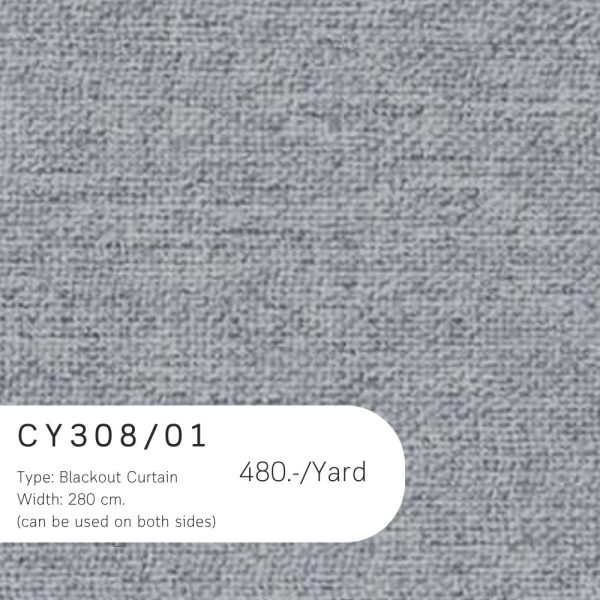 CY308-01