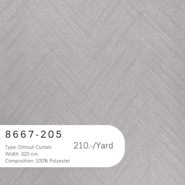 8667-205