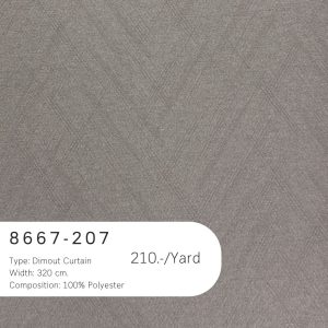 8667-207