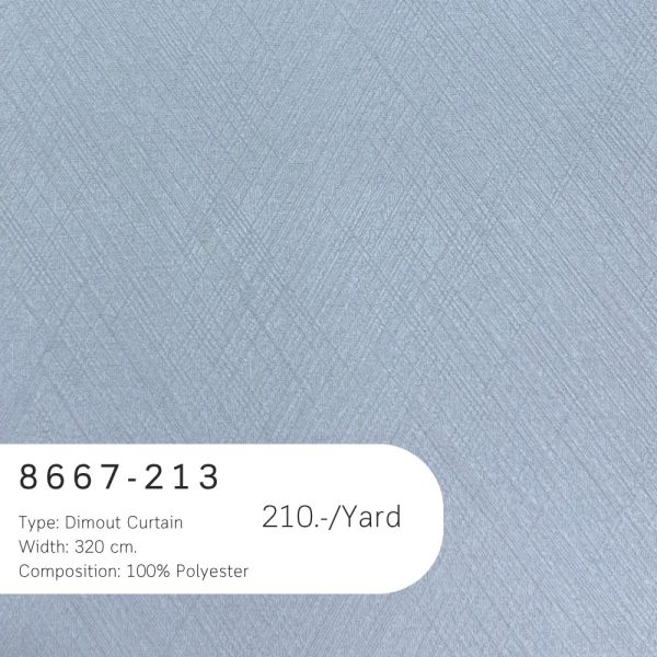 8667-213