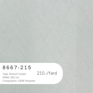 8667-215