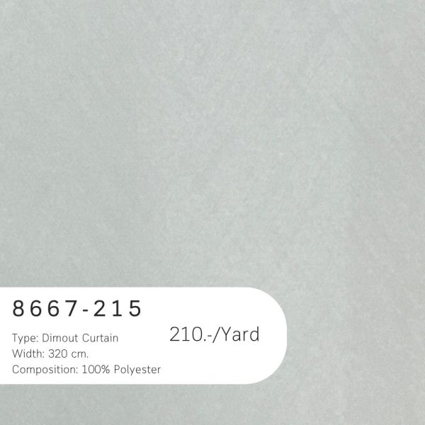 8667-215