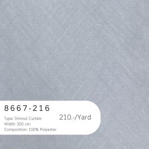 8667-216