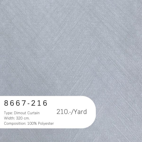 8667-216