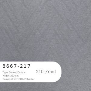 8667-217