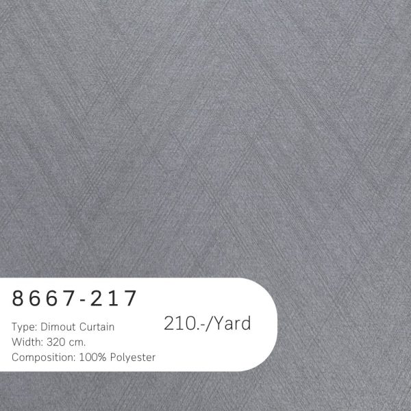 8667-217