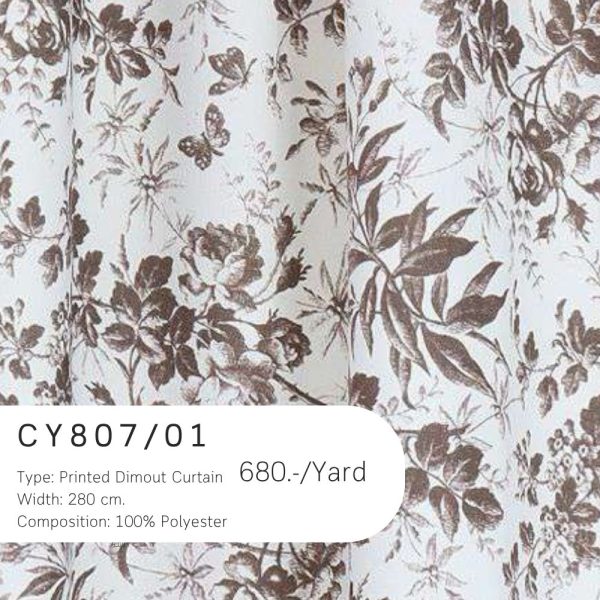 CY807-01