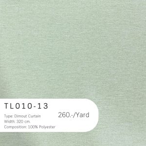 TL010-13