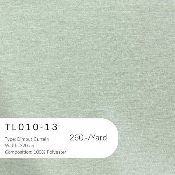 TL010-13